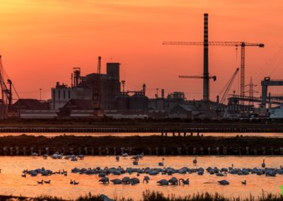 Foto di Claudio Guardigli - Ed'Ap 2019