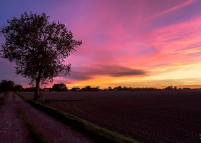 Foto di Claudio Guardigli - Ed'Ap 2019